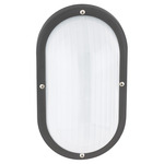 Bayside Oval Outdoor Wall Light - Black / Frosted