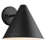 Crittenden Dark Sky Outdoor Wall Light - Black