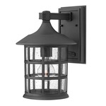 Freeport 120V Aluminum Outdoor Wall Sconce - Black / Clear Seedy