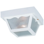 Signature 7567/9 Outdoor Ceiling Light Fixture - White / Clear
