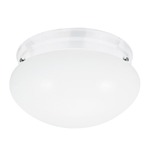 Webster Ceiling Light Fixture - White / Smooth White