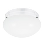 Webster Ceiling Light Fixture - White / Smooth White