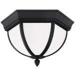 Wynfield Outdoor Ceiling Light Fixture - Black / Frosted