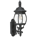 Wynfield Outdoor Wall Lantern - Black / Clear