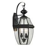 Ashford Outdoor Wall Sconce - Black / Clear