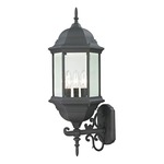 Spring Lake Point Outdoor Wall Light - Matte Black / Clear