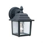 Hawthorne Outdoor Wall Light - Black / Clear
