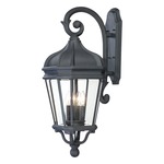 Harrison Outdoor Wall Light - Black / Clear