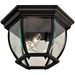 Wyndmere Outdoor Ceiling Light - Black / Clear