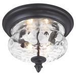 Ardmore Outdoor Flush Mount Ceiling Light - Black / Clear Hammered