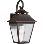 Galena Outdoor Wall Sconce - Sable / Clear Seeded