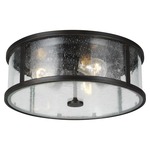 Dakota Outdoor Ceiling Light Fixture - Espresso / Clear Seedy