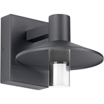 Ash Outdoor Wall Sconce with Clear Cylinder - Charcoal / Clear