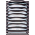 Zenith Outdoor Grate Wall Light - Architectural Bronze / White