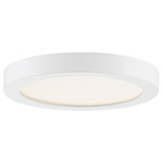 Outskirts Ceiling Light - White Lustre / White