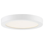 Outskirt Flush Mount Ceiling Light - White Lustre / White