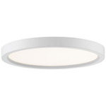 Outskirt Flush Mount Ceiling Light - White Lustre / White