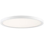 Outskirt Flush Mount Ceiling Light - White Lustre / White