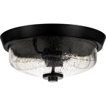 Signature QF341EK Flush Mount Ceiling Light - Earth Black / Clear Seedy