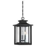 Wakefield Outdoor Pendant - Earth Black / Clear Seedy