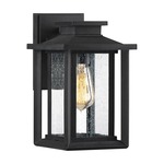 Wakefield Outdoor Wall Light - Earth Black / Clear Seedy