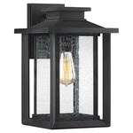 Wakefield Outdoor Wall Light - Earth Black / Clear Seedy