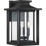 Wakefield Outdoor Wall Light - Earth Black / Clear Seedy