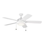 Discus Outdoor Ceiling Fan with Light - White / White