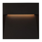 Casa Square Outdoor Wall Light - Black / Clear