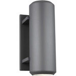 Aspenti Outdoor Wall Sconce - Charcoal