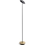 Royyo Floor Lamp - Matte Black / Brass