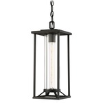 Trescott Outdoor Pendant - Black / Clear