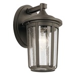 Fairfield Outdoor Wall Sconce - Olde Bronze / Clear Seeded