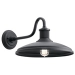 Allenbury Outdoor Wall Sconce - Textured Black