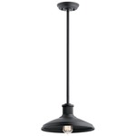 Allenbury Outdoor Convertible Pendant - Textured Black