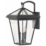 Alford Place Outdoor Wall Light - Museum Black / Clear
