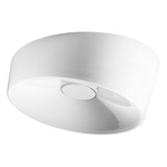 Lumiere LED Wall / Ceiling Light - White 