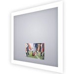 Silhouette Lighted Mirror with TV - Frosted
