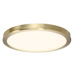 Geos Wall / Ceiling Light - Brass