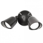 Endurance Outdoor 120V Wall / Ceiling Spot - Architectural Black