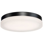 Circa Wall / Ceiling Light - Black / Etched Opal
