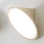 Orchid Wall / Ceiling Light - Sand / Opal