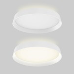 Aurora Ceiling Light Fixture - White / Frosted