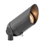 Hardy Island 12V MR16 Spot Light - Satin Black / Clear