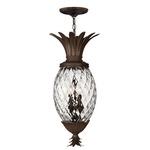 Pineapple 120V Outdoor Pendant - Copper Bronze / Clear Optic