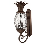 Pineapple Outdoor Scroll Wall Light Clear Optic - Copper Bronze / Clear Optic
