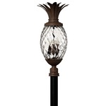 Pineapple 120V Outdoor Post / Pier Mount Clear Optic - Copper Bronze / Clear Optic