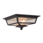 Argent Outdoor Ceiling Light Fixture - Clear Seeded / Midnight