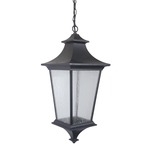 Argent Outdoor Pendant - Clear Seeded/Midnight
