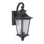 Argent Outdoor Wall Light - Clear Seeded / Midnight